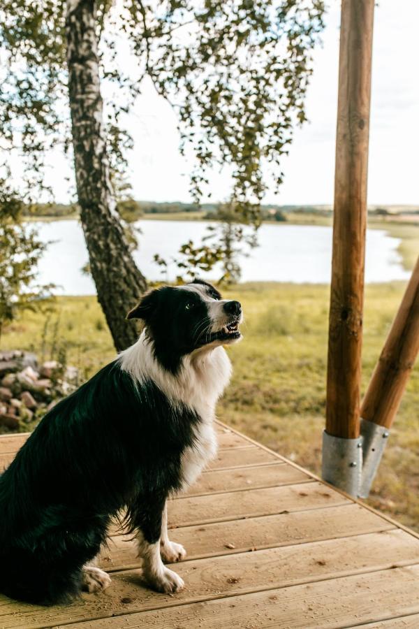 Luxury tent Wioska Wakacyjna Glamila